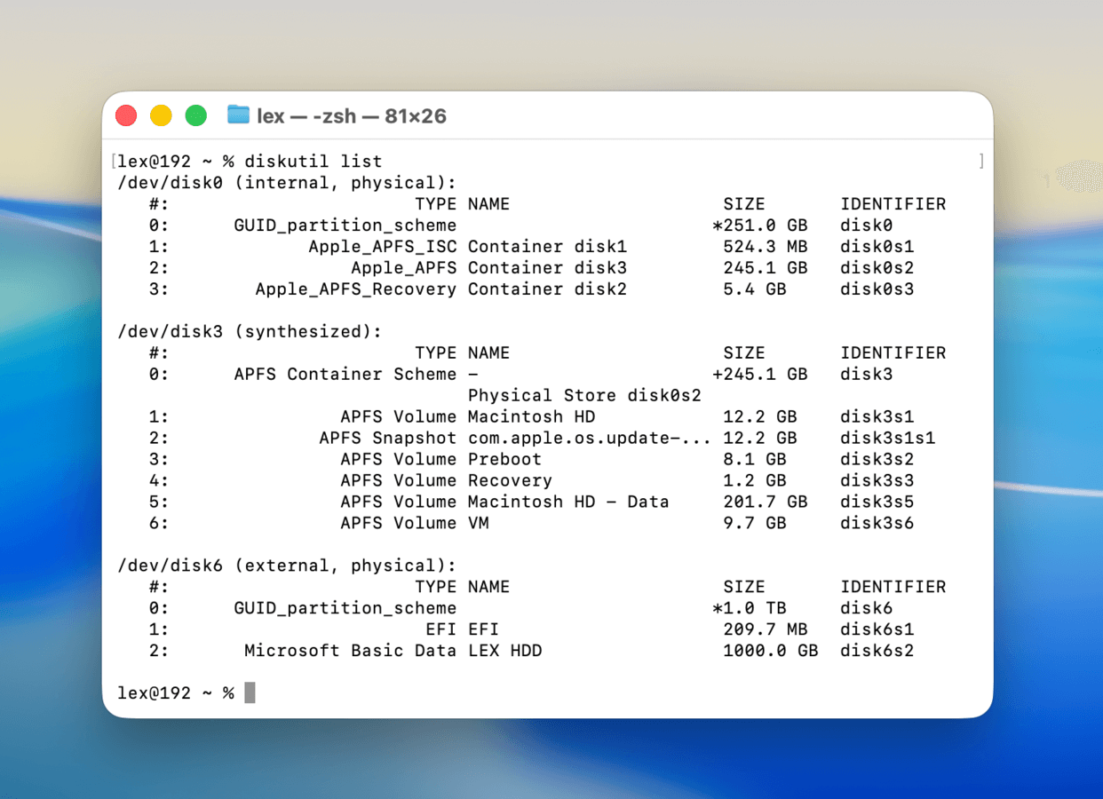 Running the diskutil list command in the Terminal app
