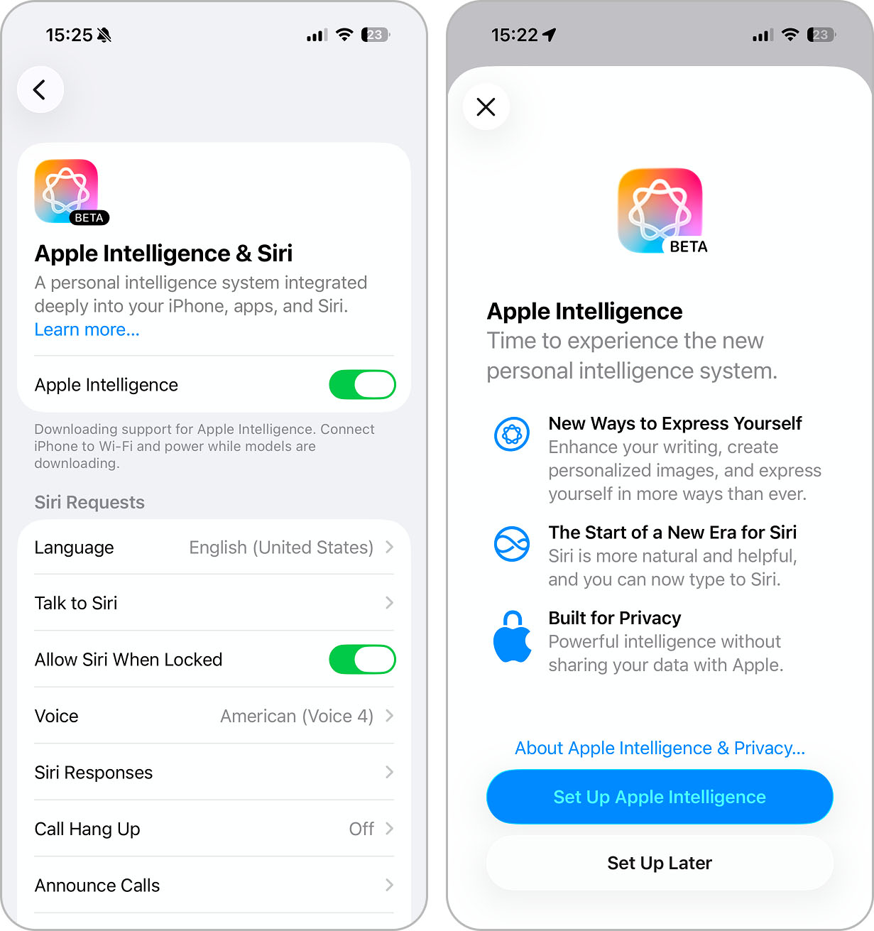 apple intelligence setup