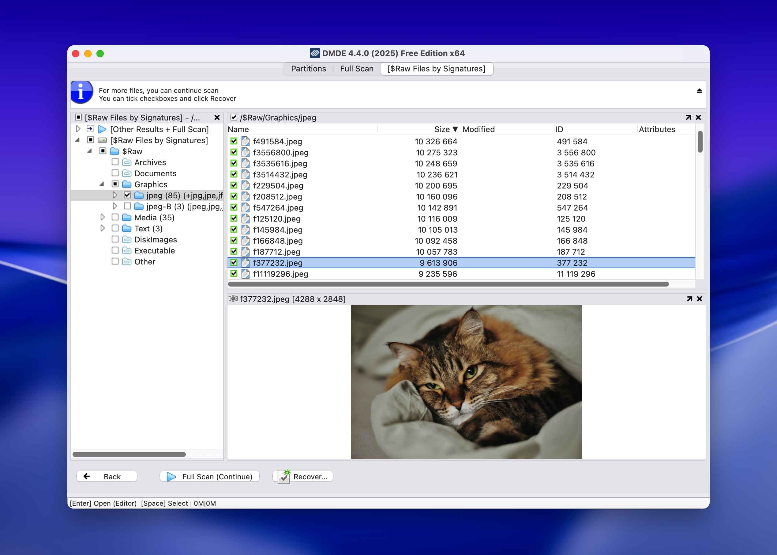 DM Disk Editor and Data Recovery Software for Mac