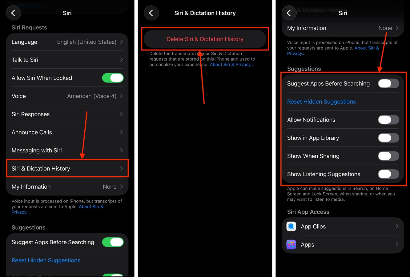 Deleting Siri and dictation history in the iPhone settings