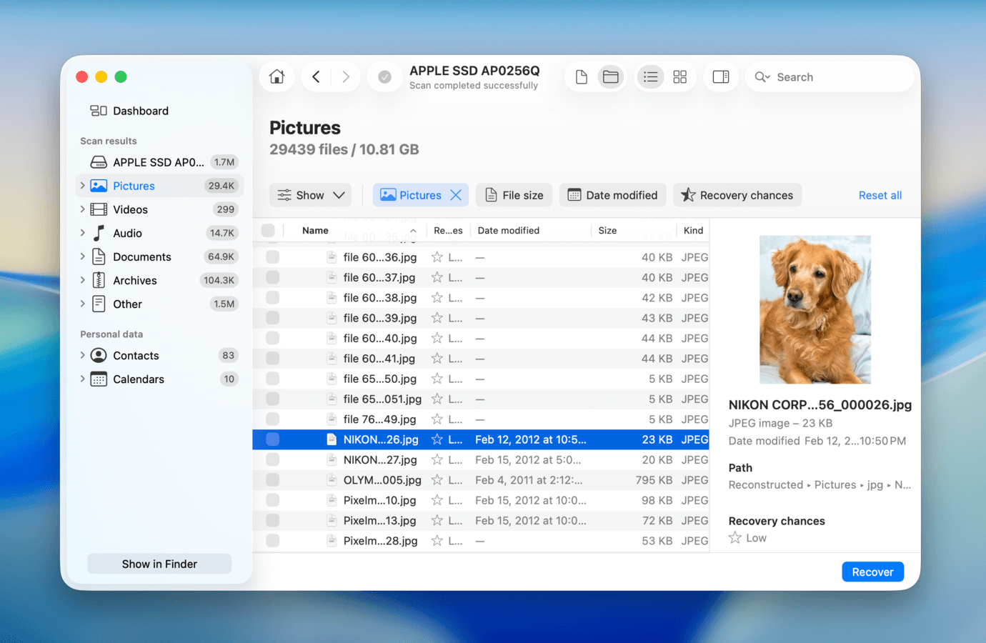 Disk Drill scan results page and preview