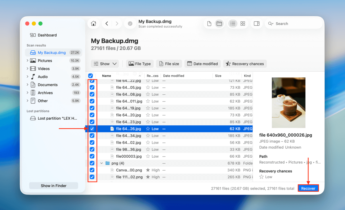 file selection window in Disk Drill
