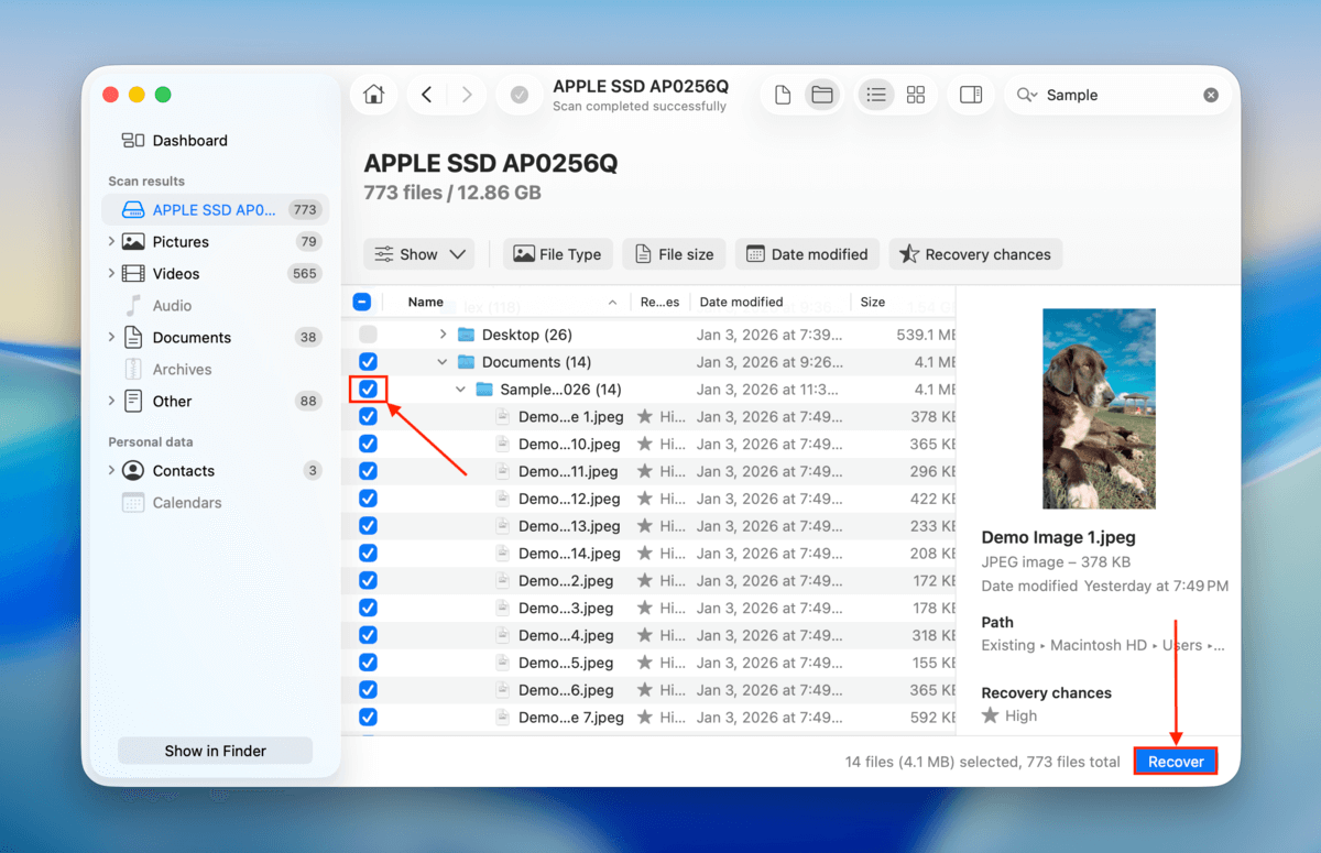 recover selected files in Disk Drill