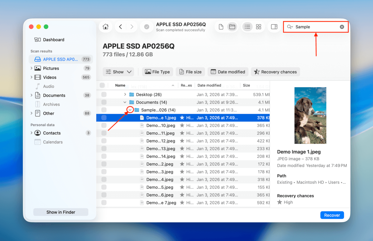 file search tool in Disk Drill