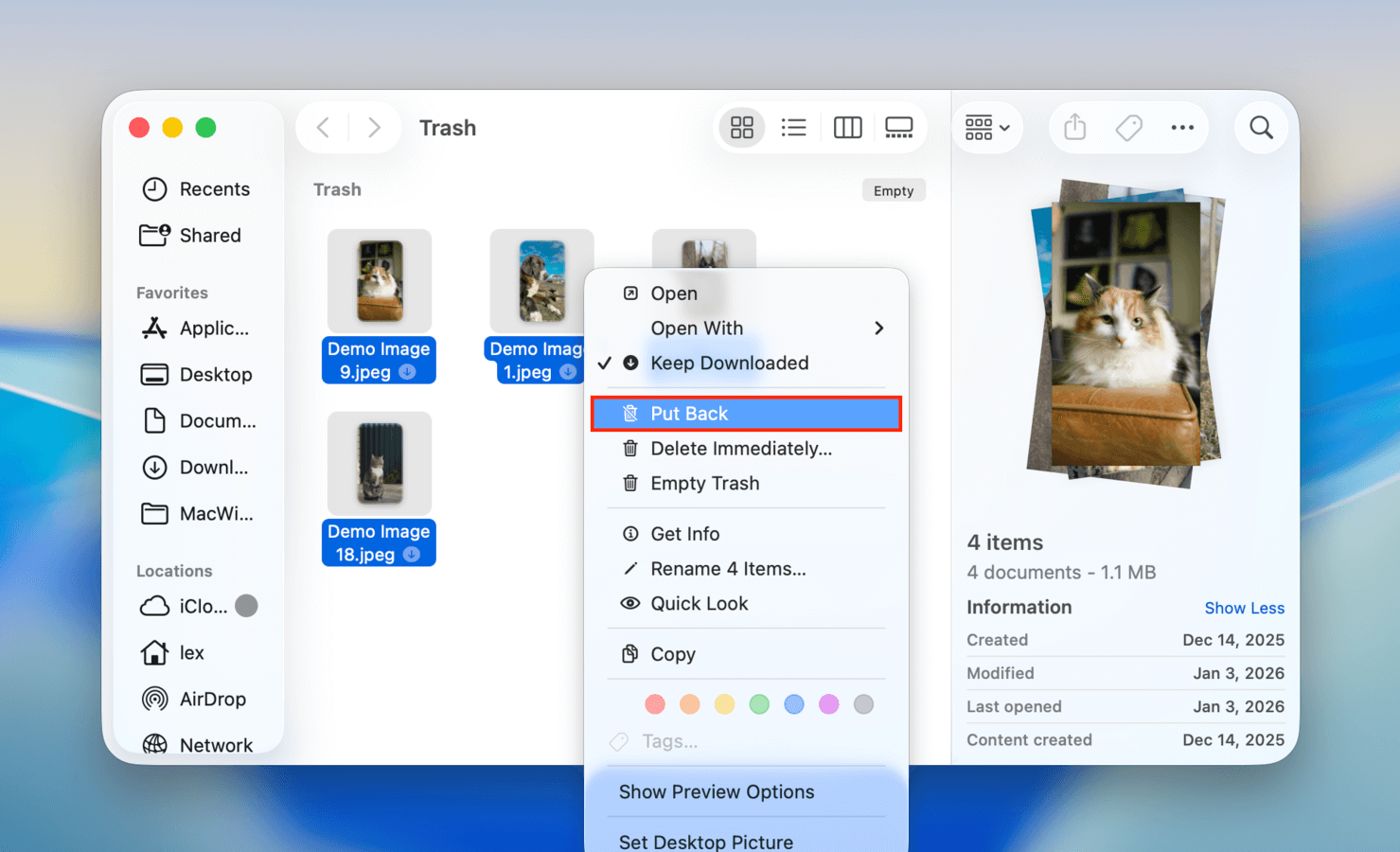 Selecting the Put Back option in the Trash folder context menu