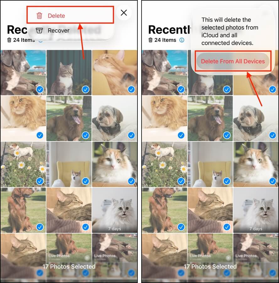 Erasing photos from the Recently Deleted album