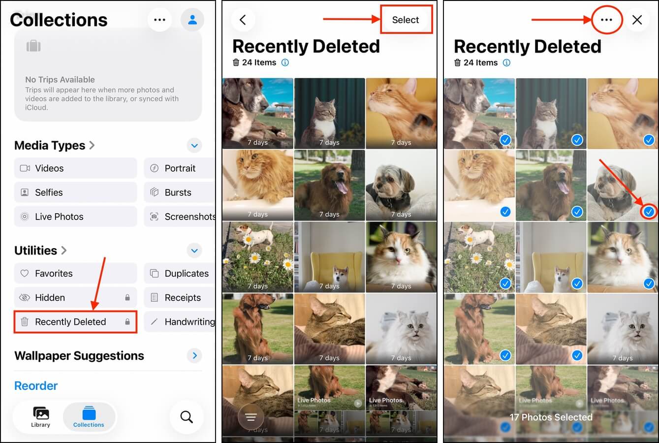Selecting photos in the Recently Deleted folder