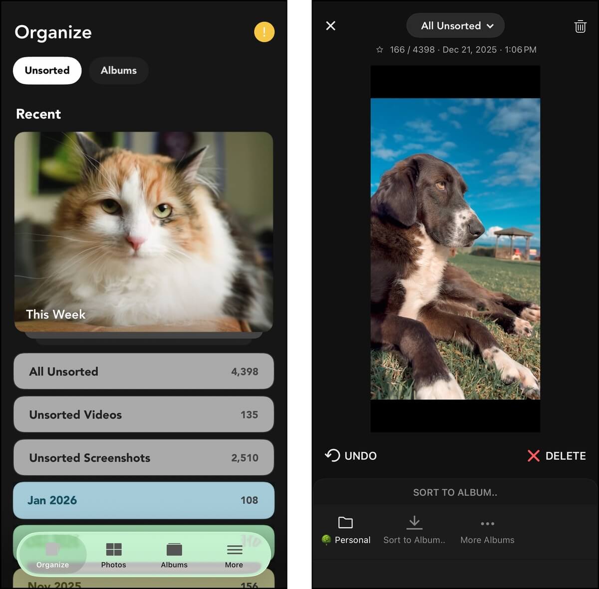 organize tab in slidebox photo cleaner app