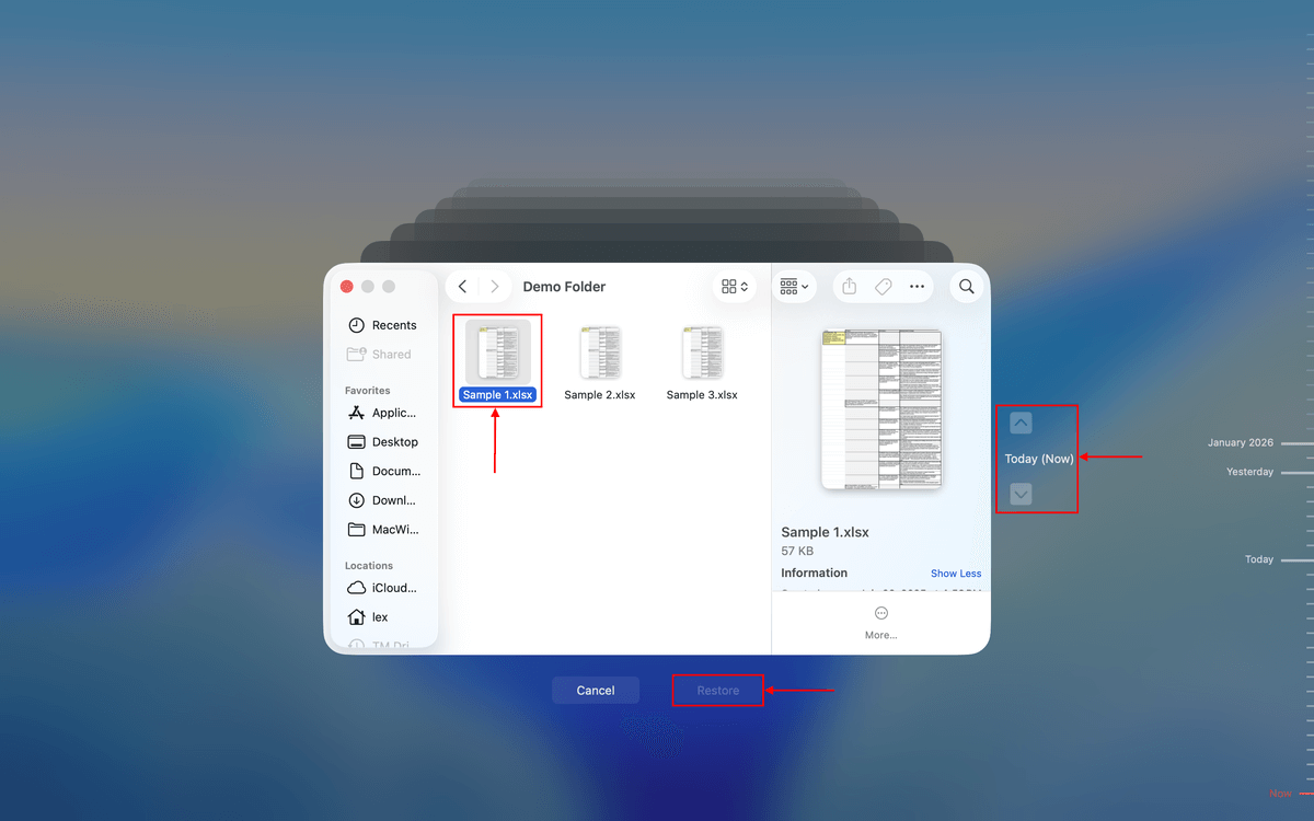backup selection in time machine