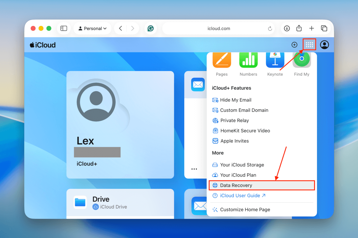 data recovery option in the drag down menu in icloud