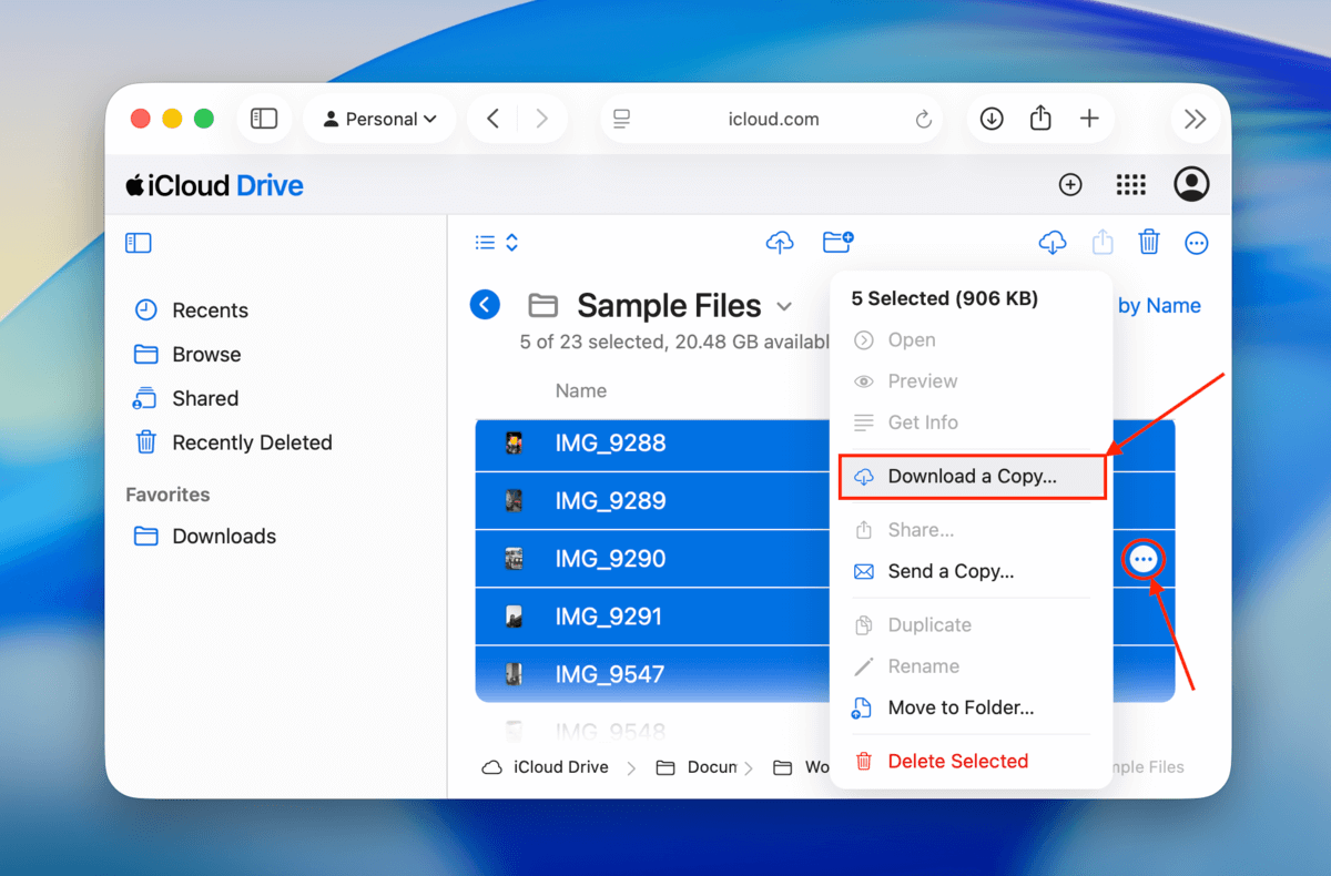 download a copy option in the dropdown menu