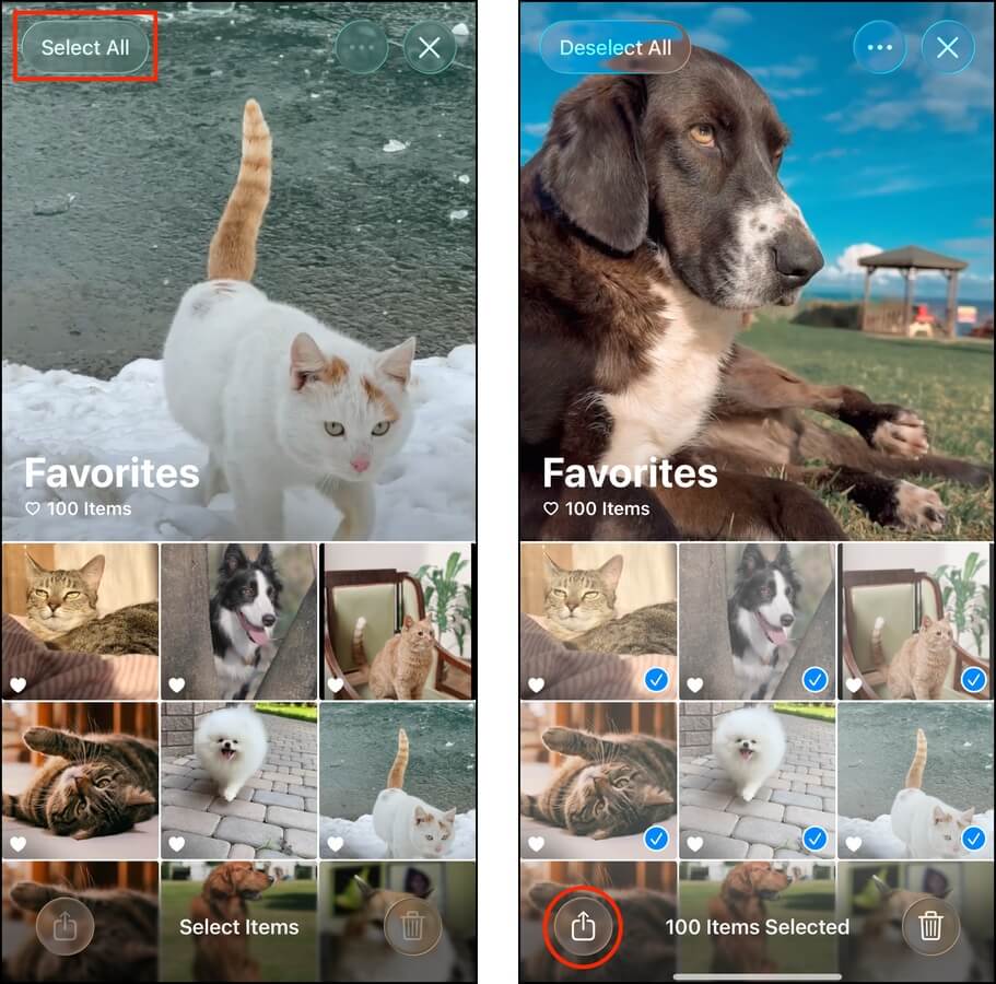 Sharing photos from an iPhone through AirDrop