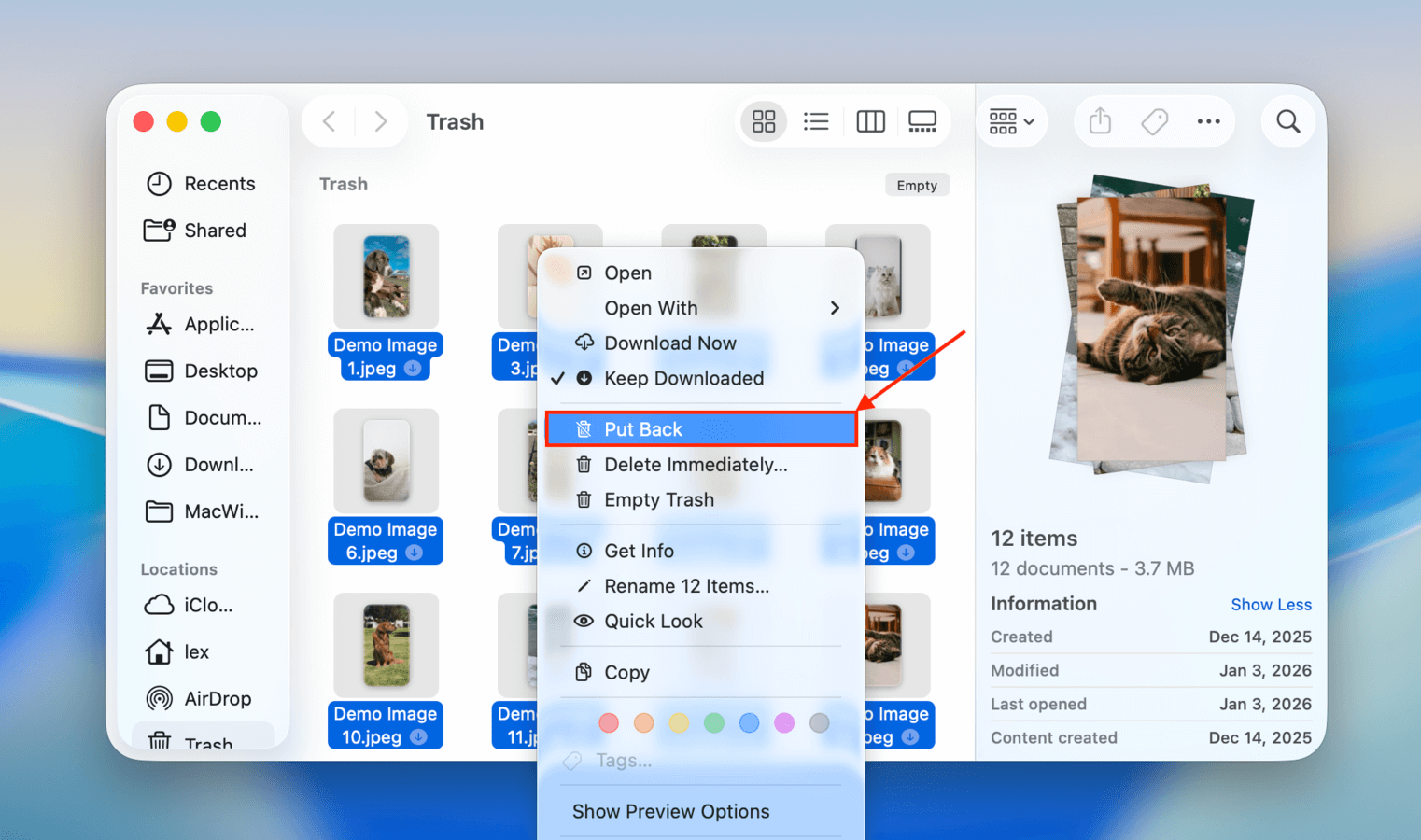 Using the "Put Back" option in the Trash folder