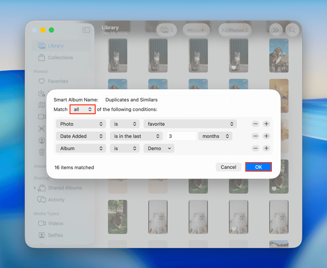 Smart Album parameters dialog in the Photos app