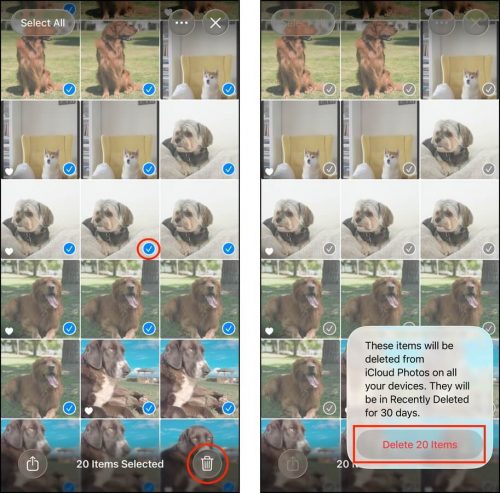 Trash icon and delete dialog in the Photos app's search results page