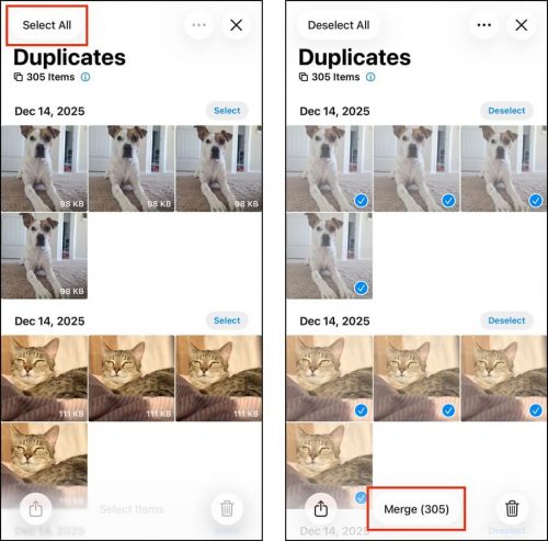 Merging all duplicates in the Photos app