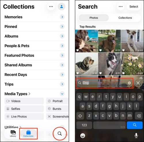 Using the search tool in the Photos app via the magnifying glass button