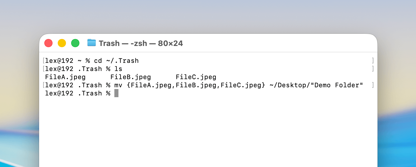 Using the mv command in the Trash folder