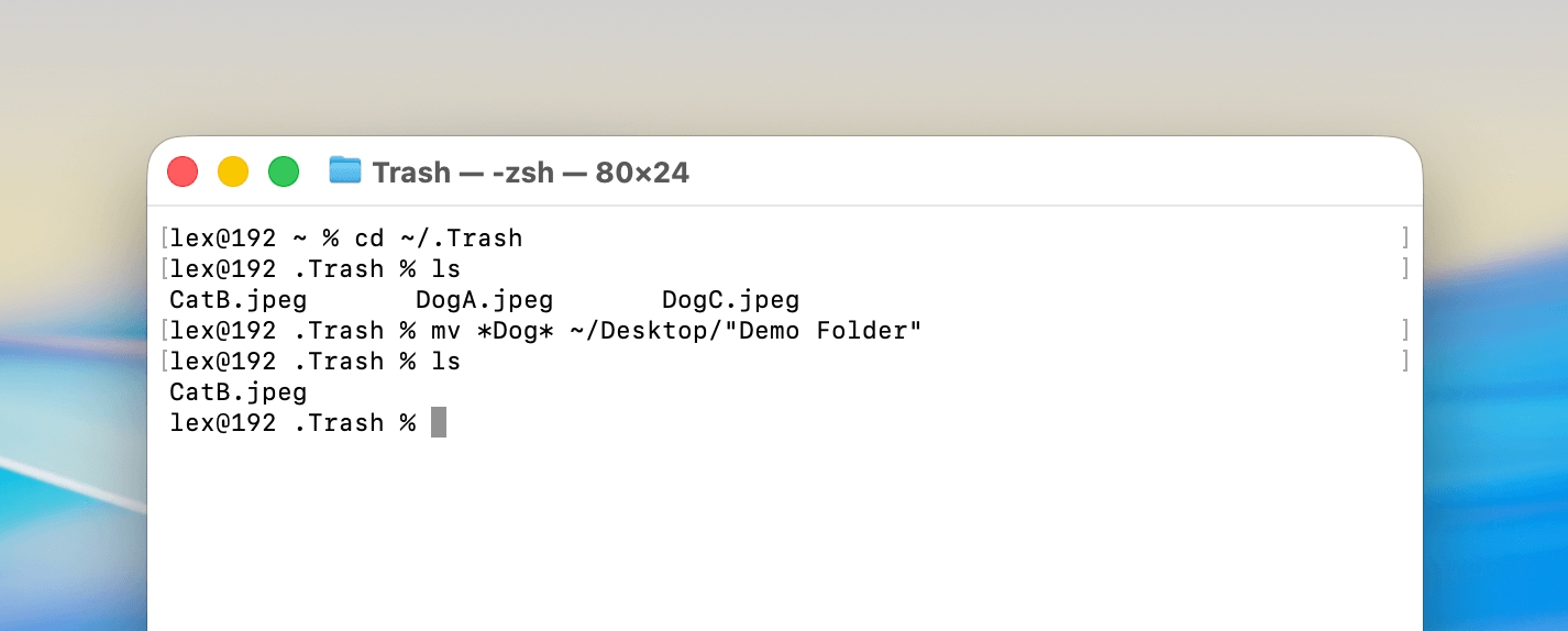 Using Terminal to move files with the string "Dog" in their file names from the Trash folder