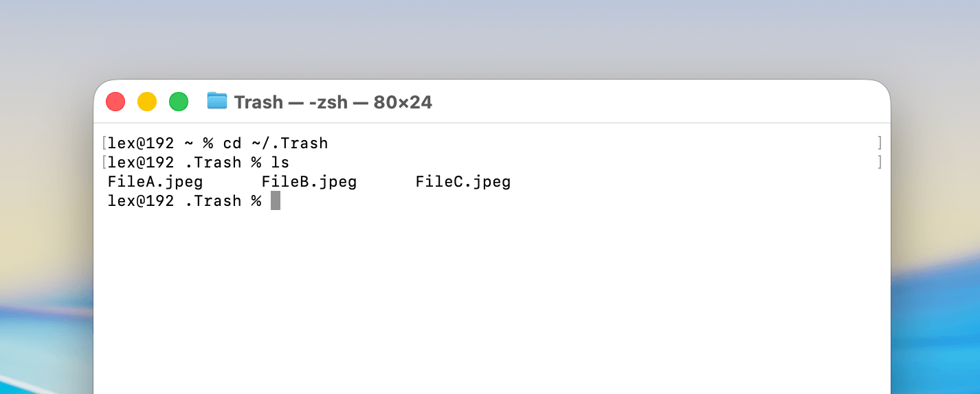 Using the cd and ls commands in the Trash folder