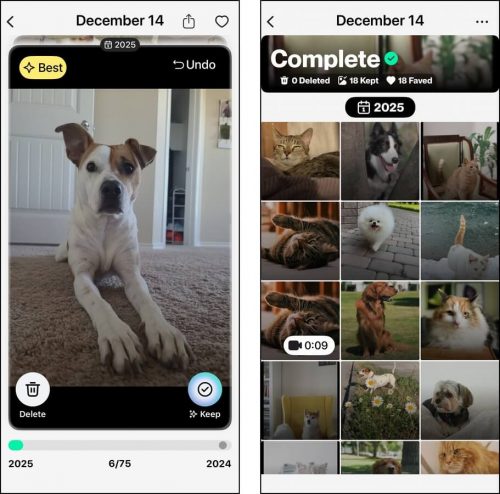 Library clutter management tools in Daily Delete for iOS