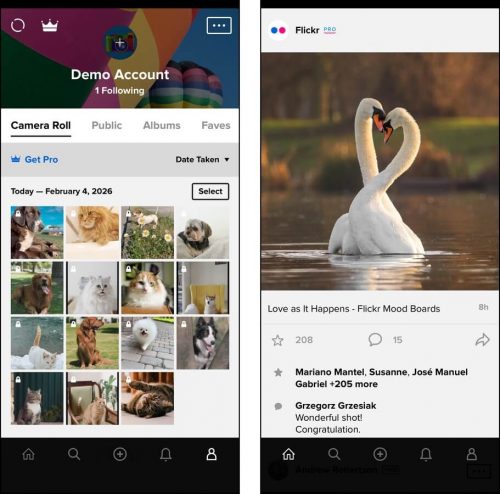 Photo organizing tools in Flickr for iOS