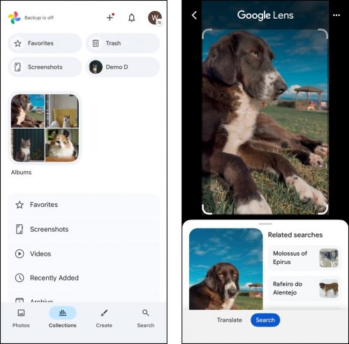 Library organizing tools in Google Photos for iOS