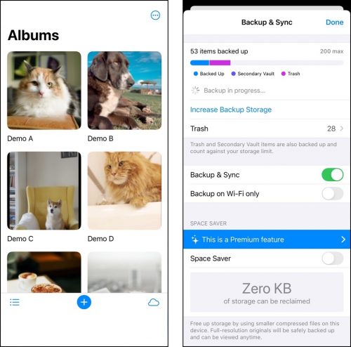 Photo organizing tools in Keepsafe for iOS