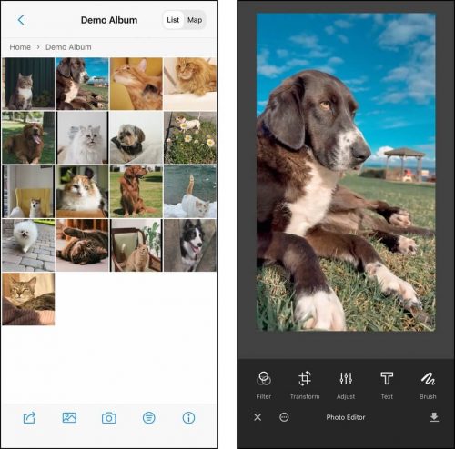 Photo editing and organizing tools in MyPics for iOS