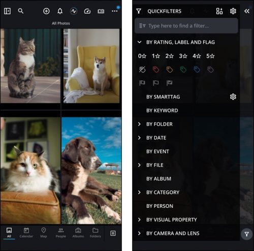 Photo organizing tools in Mylio Photos for iOS