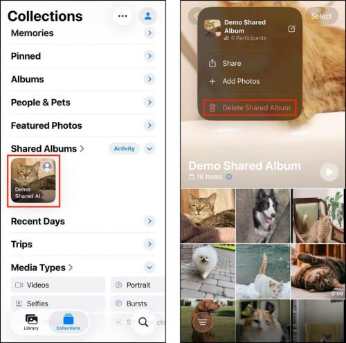 Deleting a shared album in iOS Photos