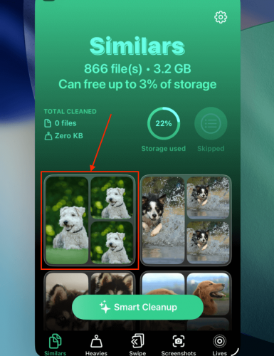 Similar cleaner in Clever Cleaner for iPad