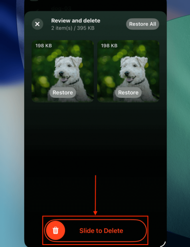 Reviewing files in the Trash menu in Clever Cleaner for iPad
