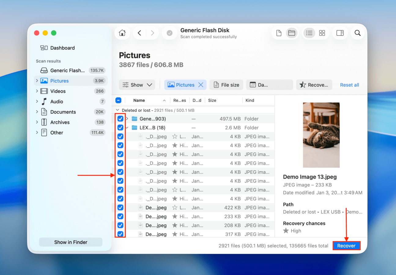 Selecting deleted USB files for recovery in Disk Drill