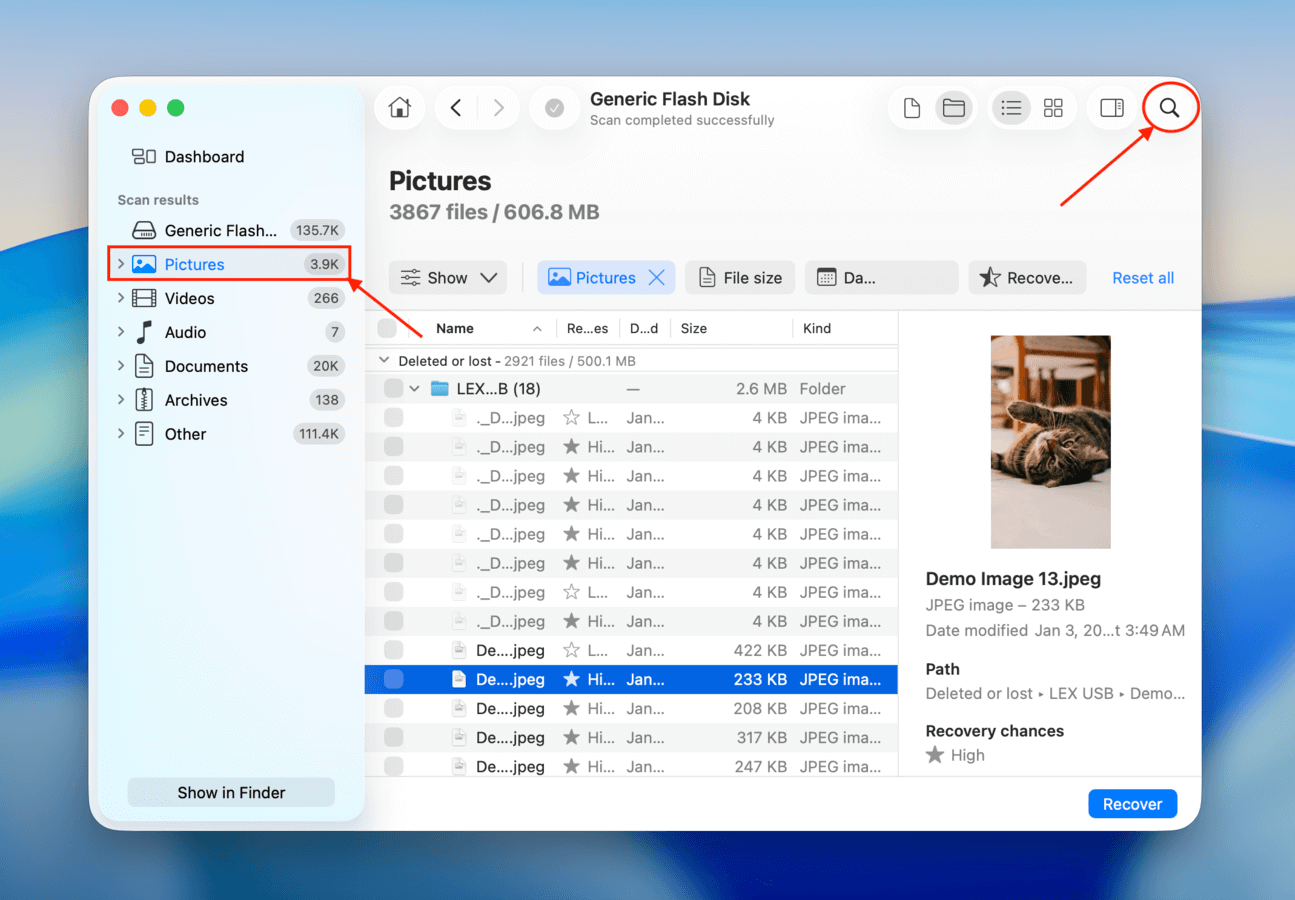 Searching, filtering, and previewing recovered USB files in Disk Drill