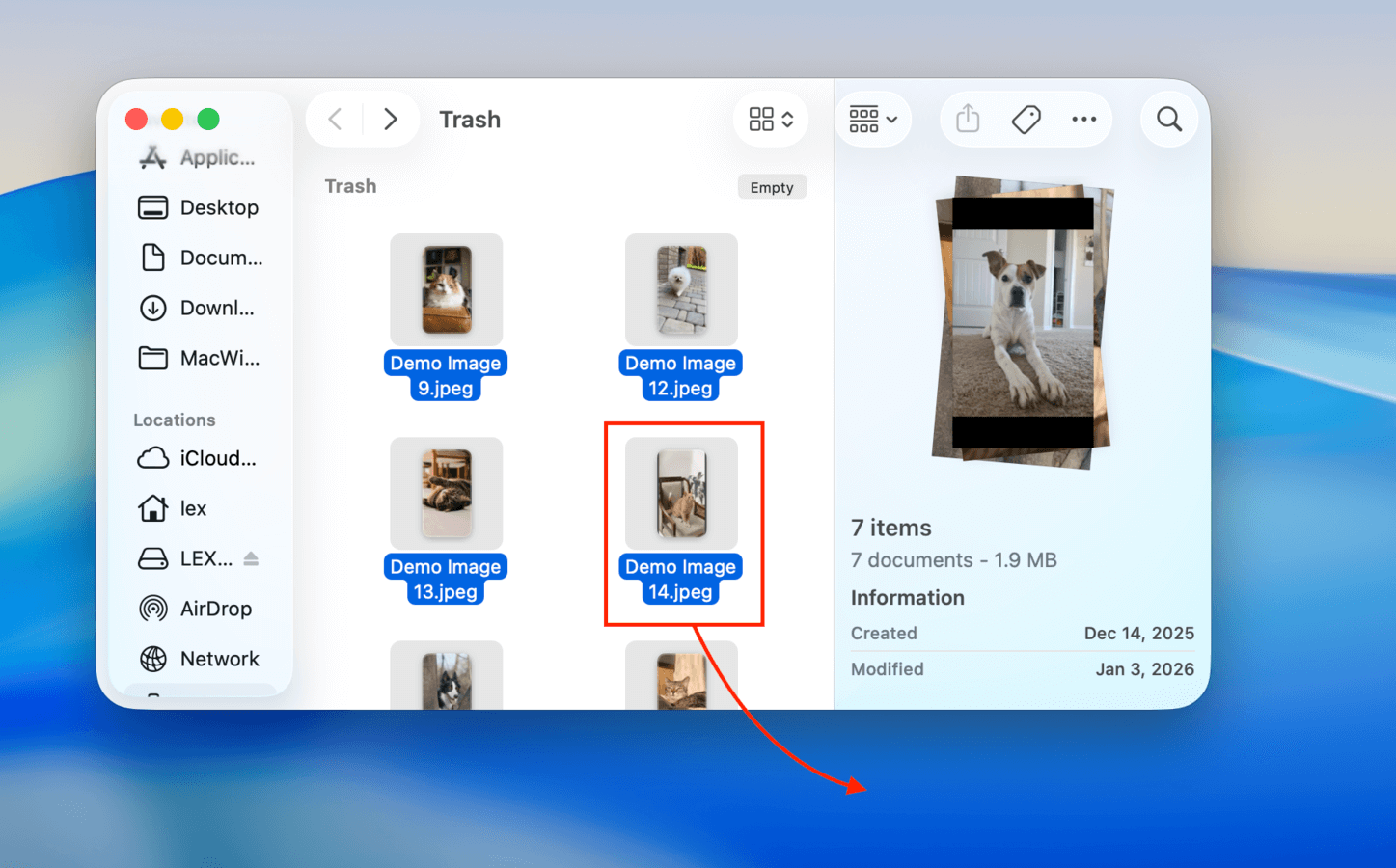 Dragging a file from the Trash folder to the Desktop