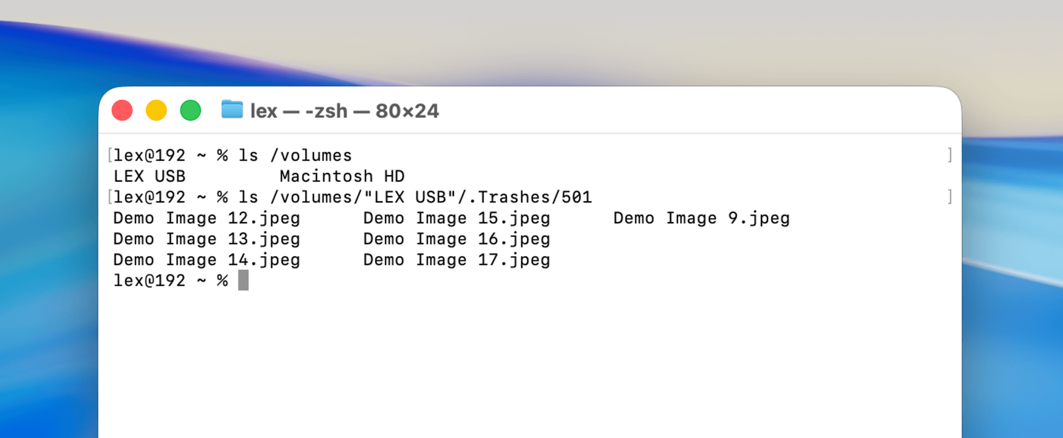 Running the ls command in the 501 folder of .Trashes on a USB