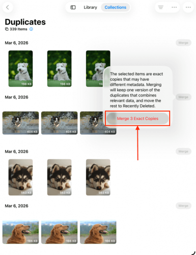 Confirmation button for merging duplicates in the iPad Photos app