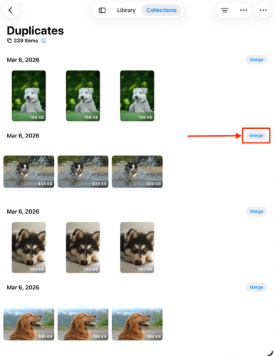 Merge button in the Duplicates folder in iPad Photos