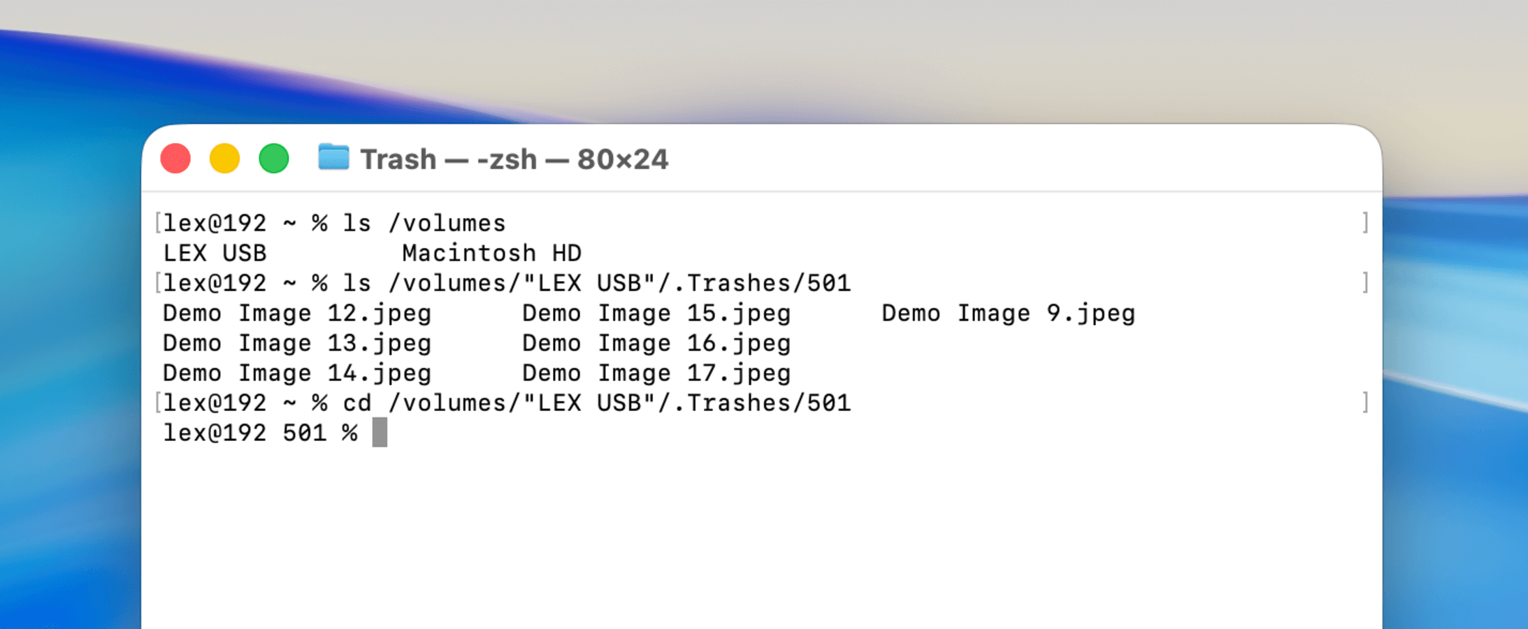 Using Terminal commands to change directory to the 501 .Trashes folder in the USB