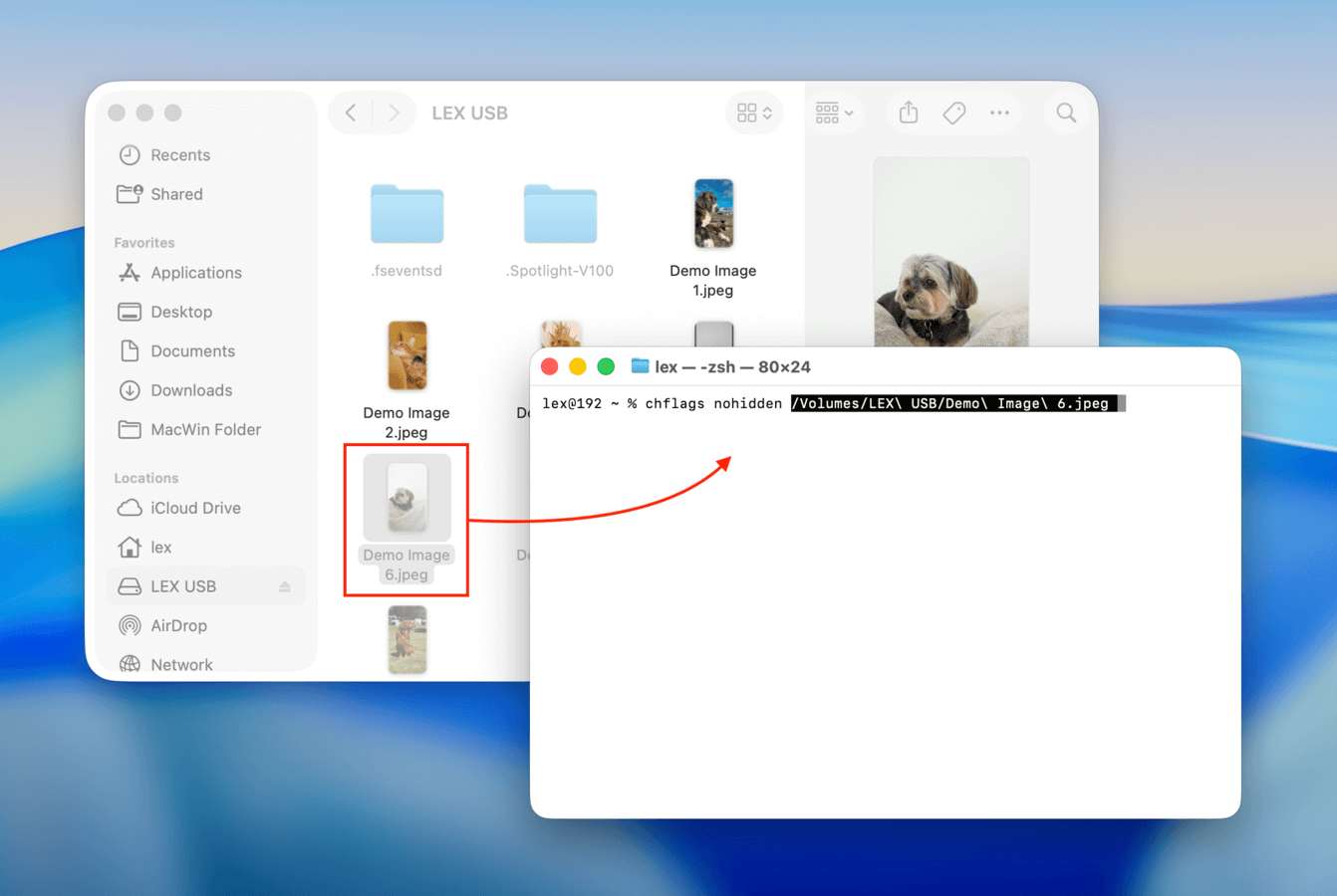 Permanently "un-hiding" a USB file in Finder using Terminal
