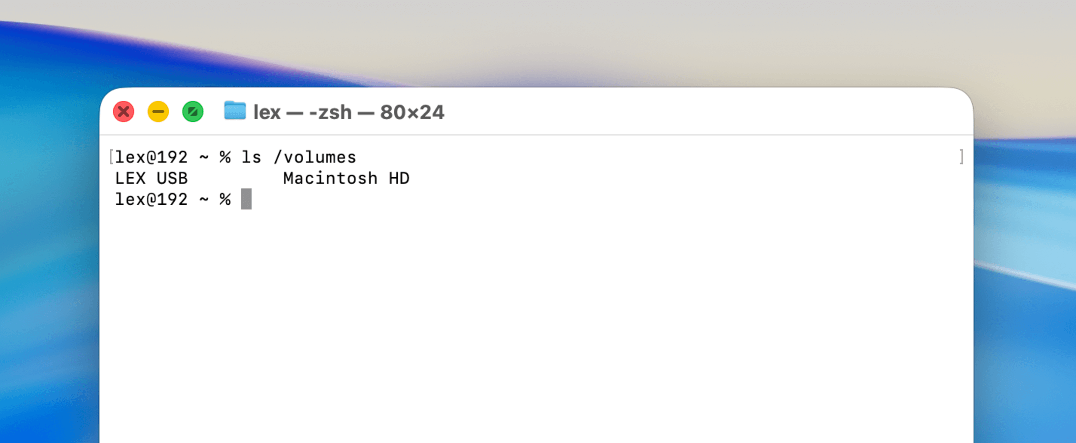 Running the ls /volumes command in Terminal