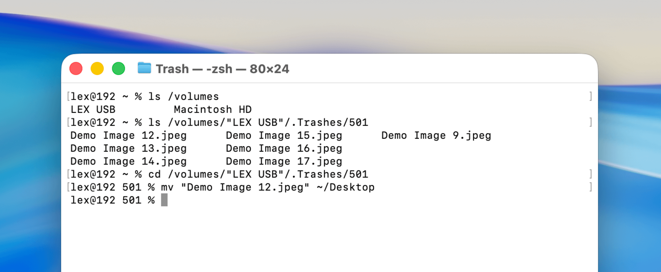 Using the MV command to move files from the Trashes folder