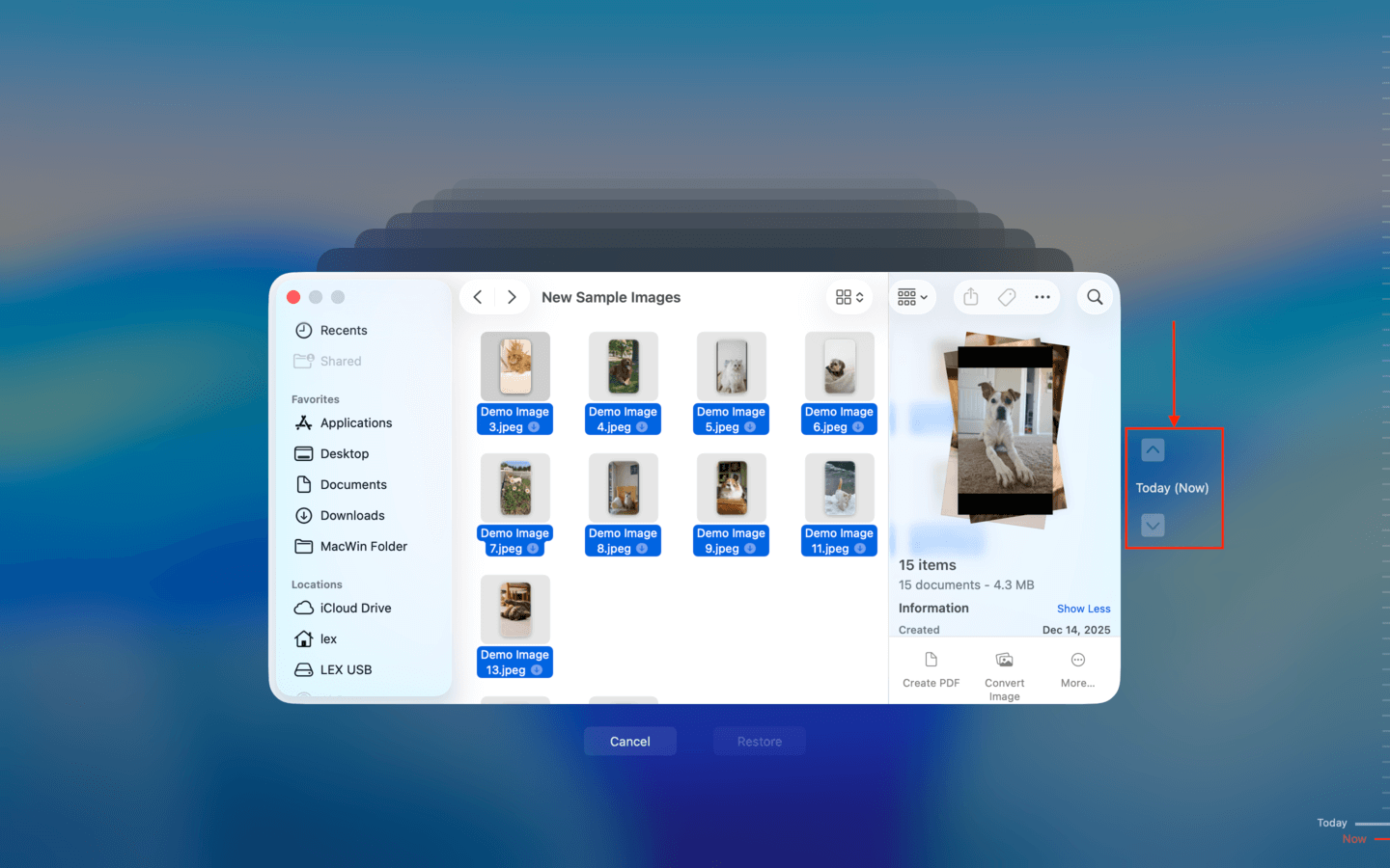 Restoring Time Machine snapshots