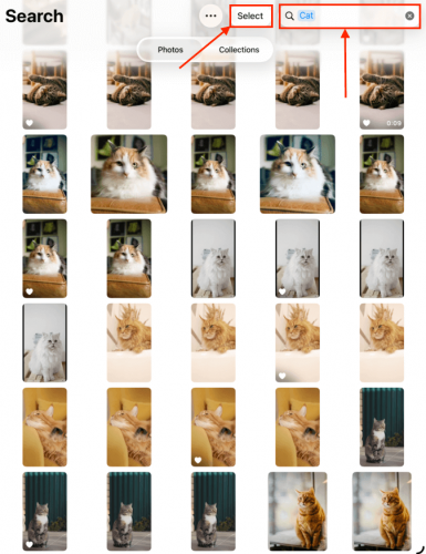 Selecting photos from the advanced search results in iPad Photos