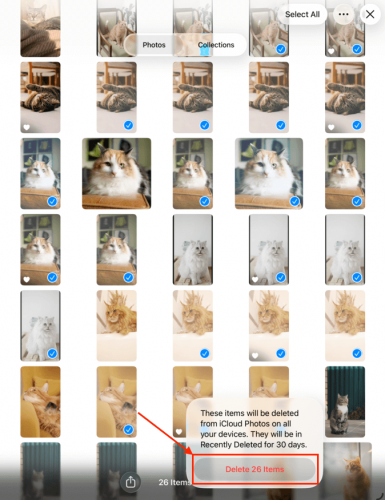 Deleting photos from the advanced search results in iPad Photos